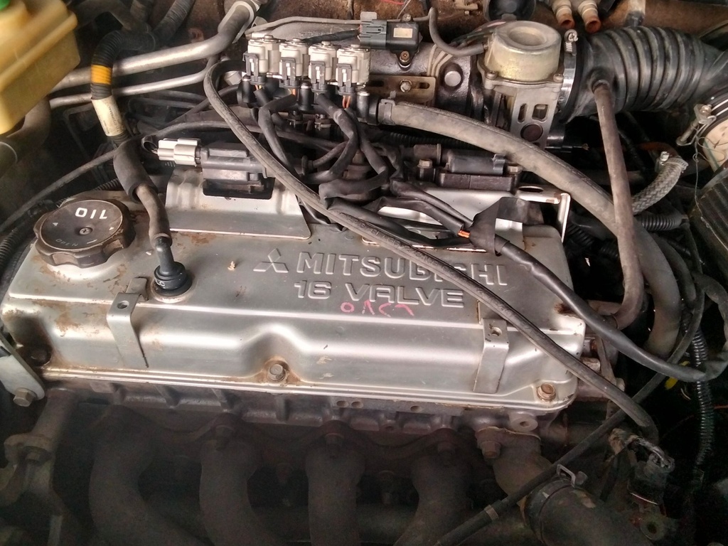 inbound5350250318416156843.jpg