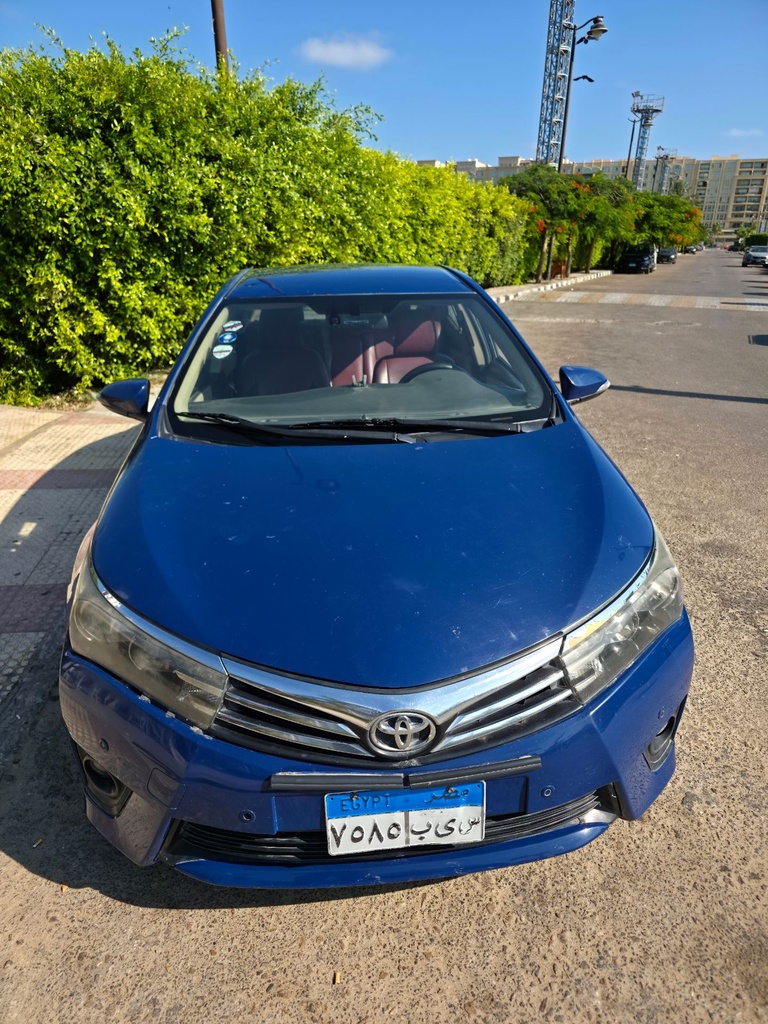 inbound7606637139805427692.jpg