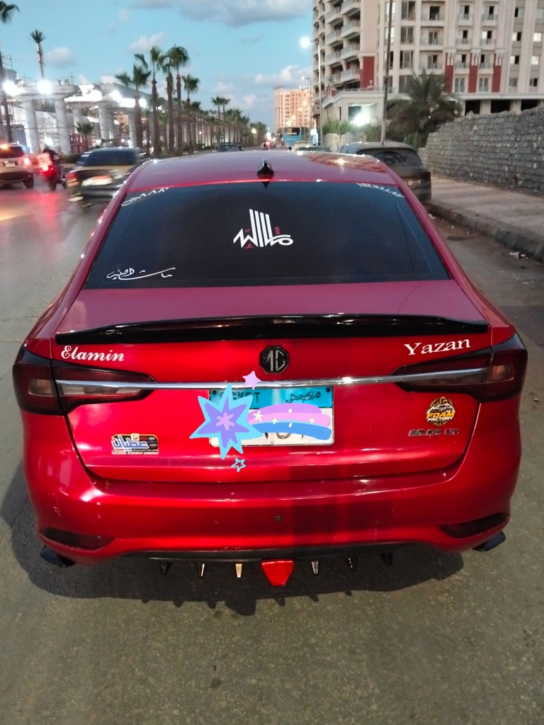 1000287344.jpg