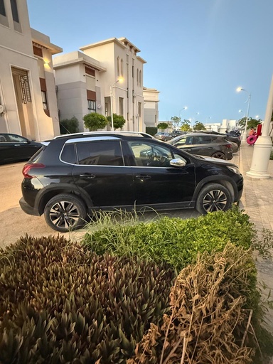 Peugeot 2008 2019 1st Category
