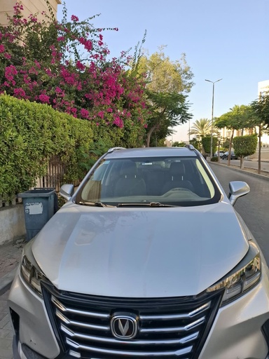 Changan CS 15 2022 1st, L1